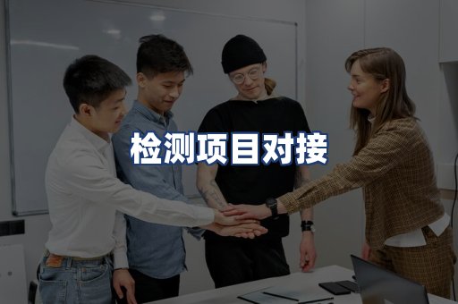 检测项目对接