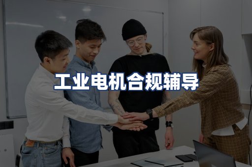 工业电机合规辅导